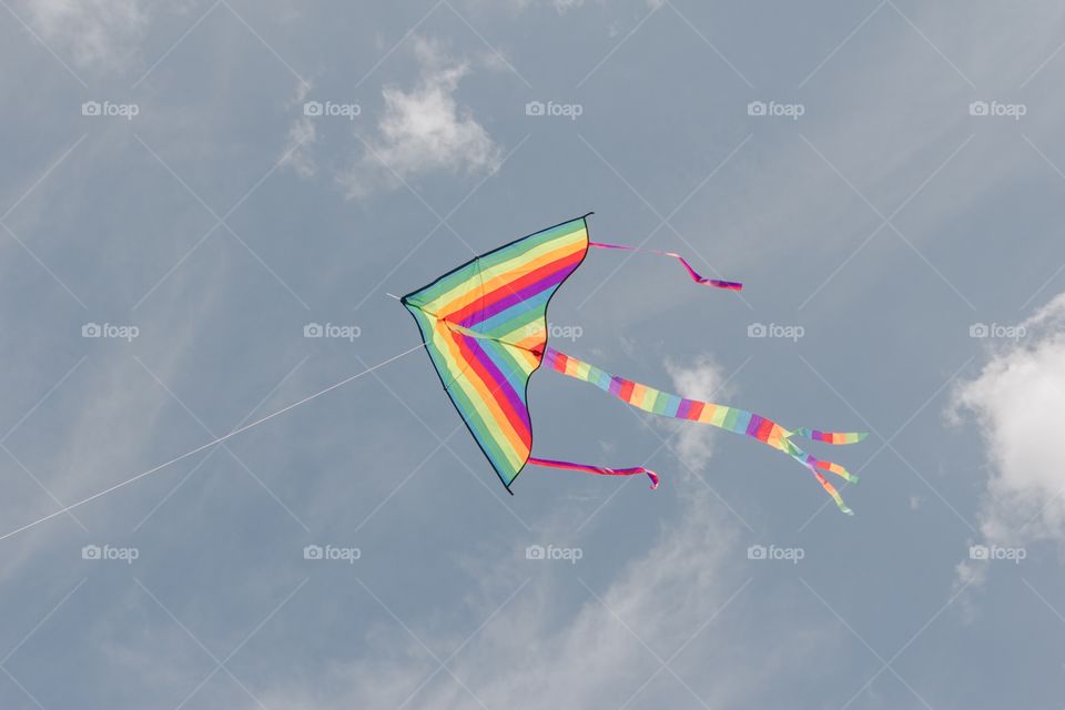Kite