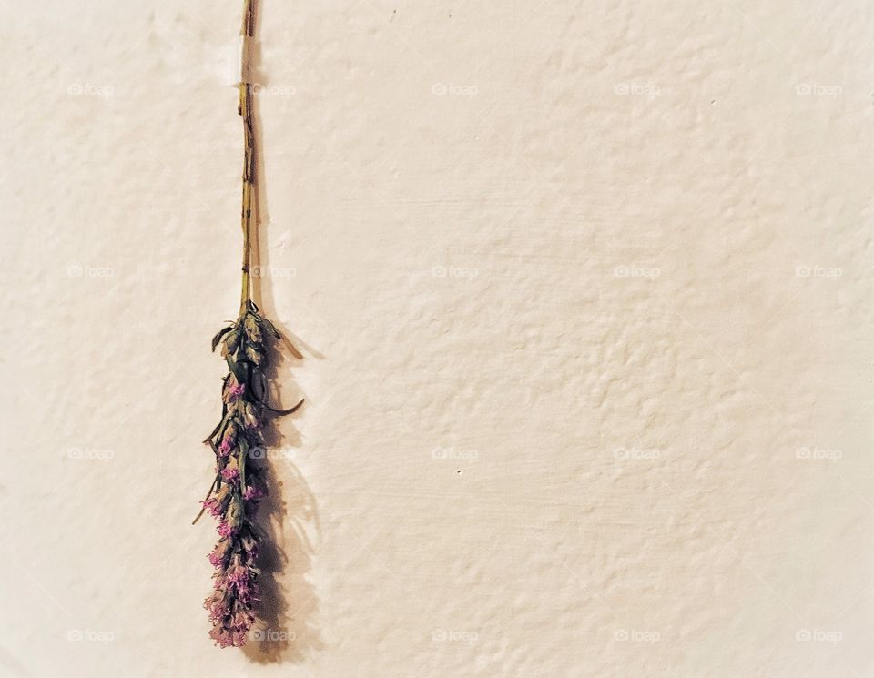 New life, New seasons. 