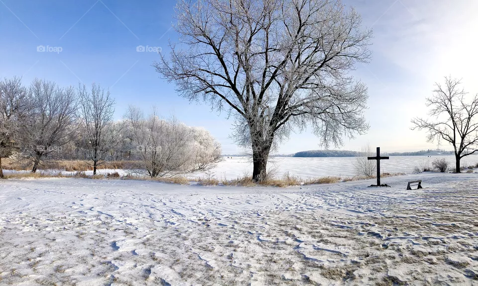 Winter 2021