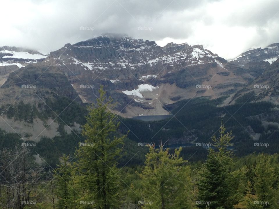 Hike at Healy pass, Alberta