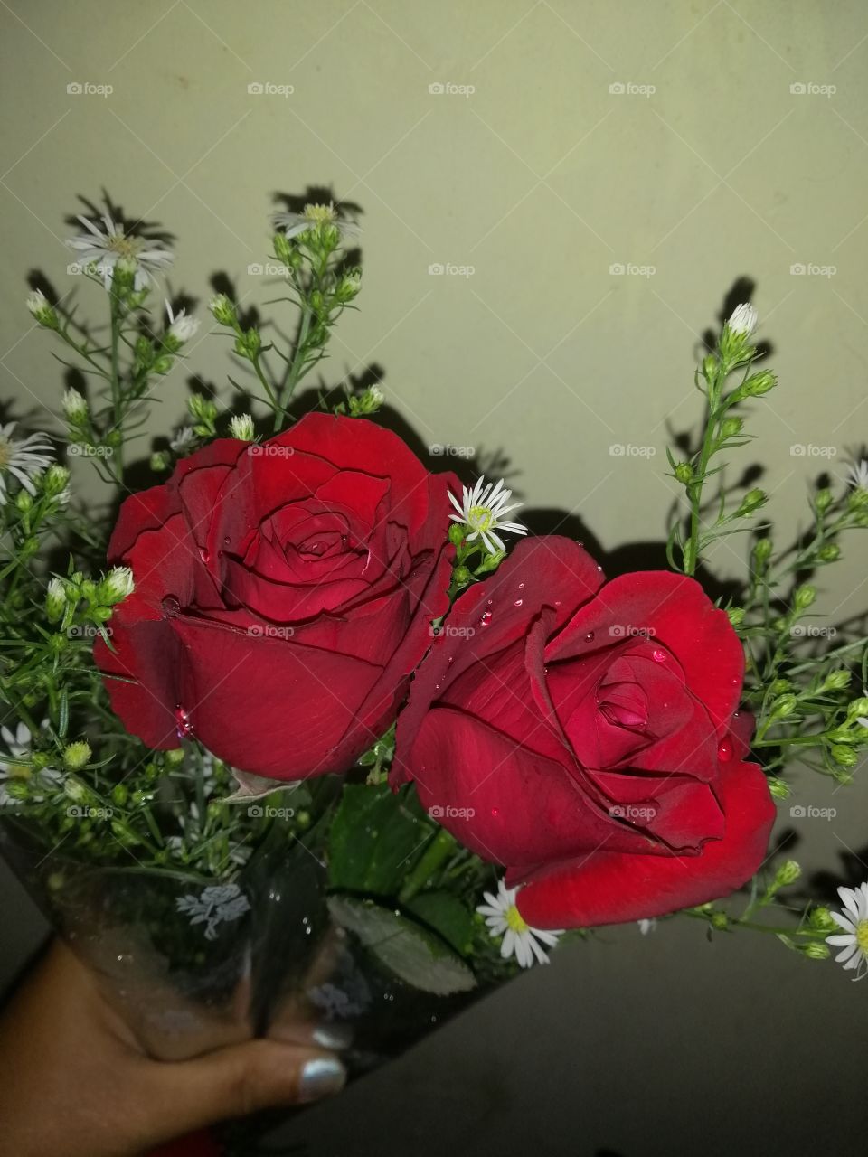 Roses ...