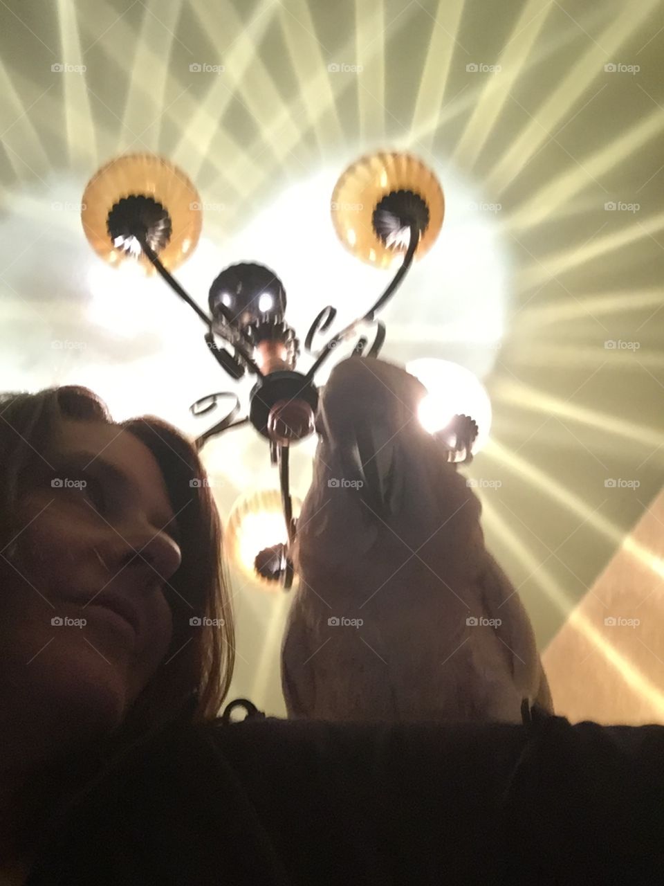 People, Light, Woman, Adult, Indoors