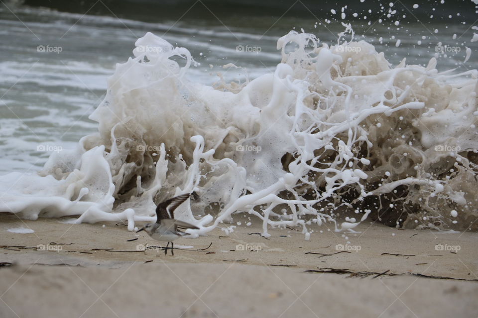 Crashing waves at Jones Beach as the effects of Hurricane Harvey