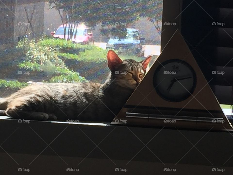 When time stood still