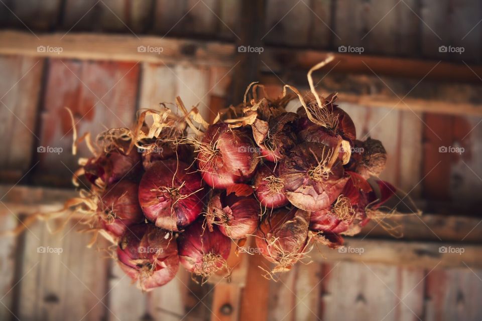 Hanging onion