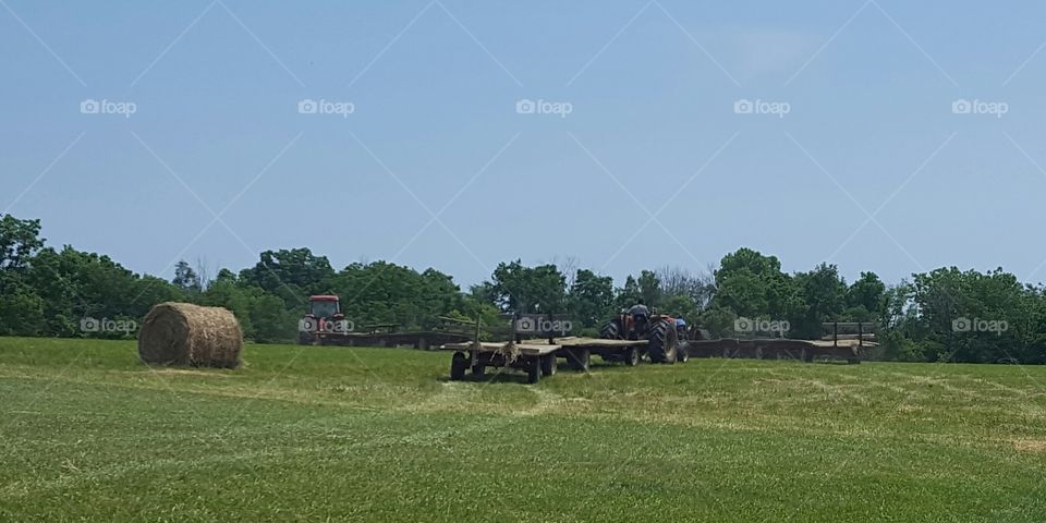 Agriculture, Farm, Landscape, Grass, Field