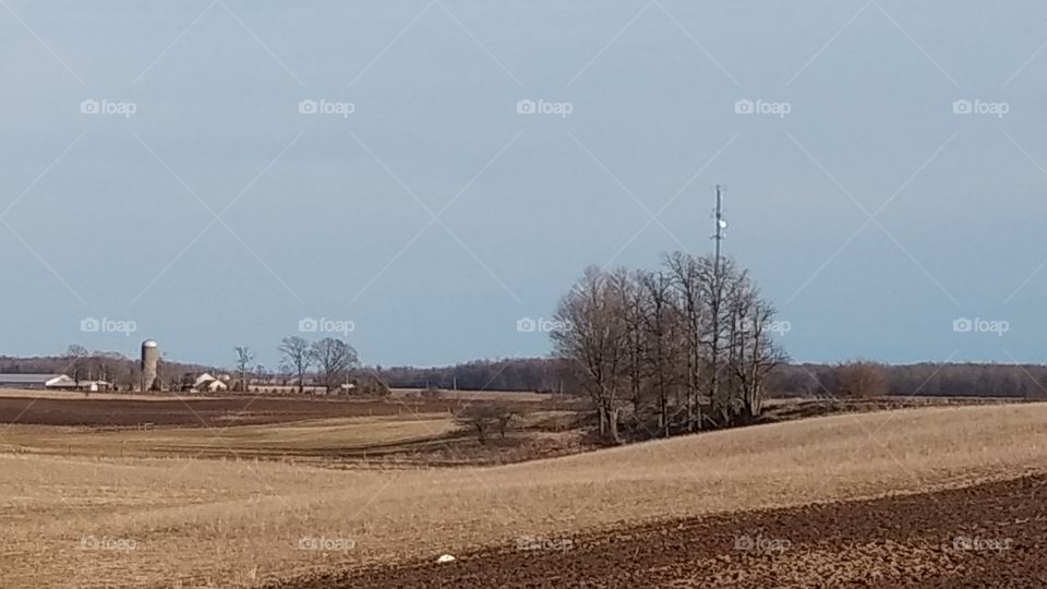 Landscape, Agriculture, Field, No Person, Farm