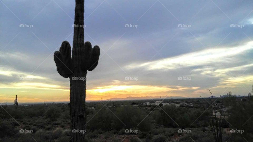 An Arizona Summer Sunset, Apache Junction, Arizona, USA

Instagram username; anita.walter.796