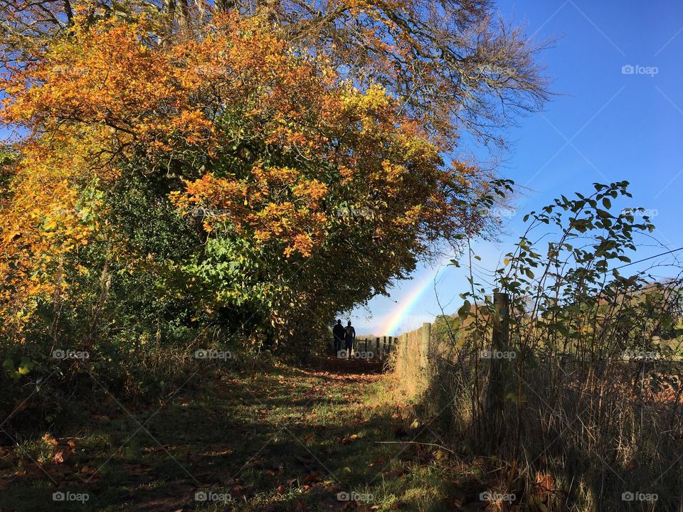 Rainbow spotted in today’s Autumn walk 🍃🍁 🌿