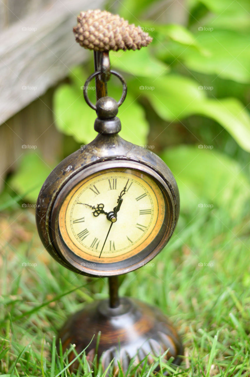 clock outside on the grass