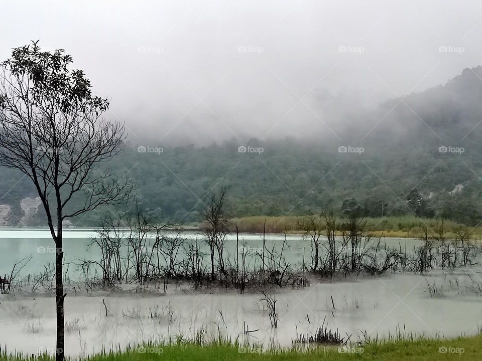 Misty afternoon