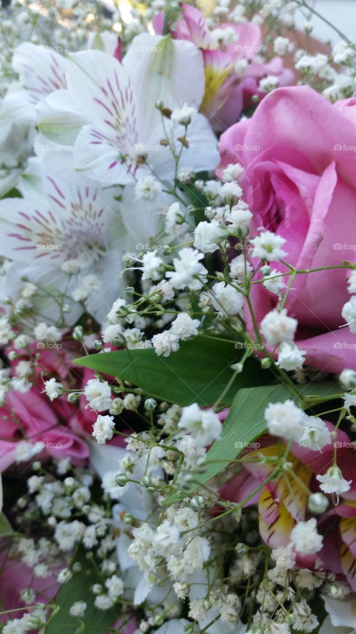 Close-up of bouquet