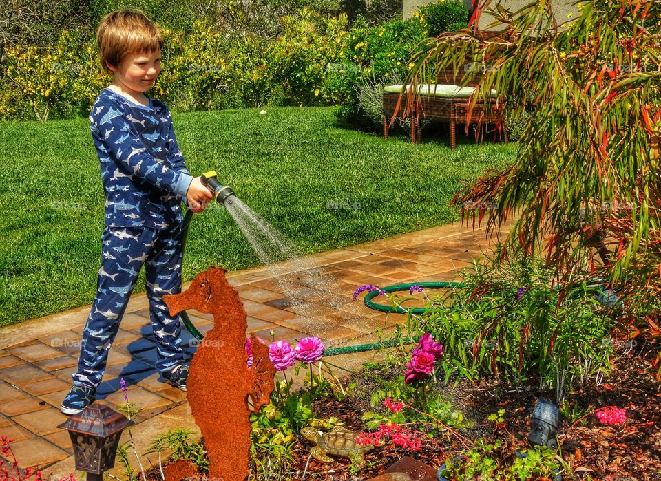 Young Boy Watering A Home Flower Garden