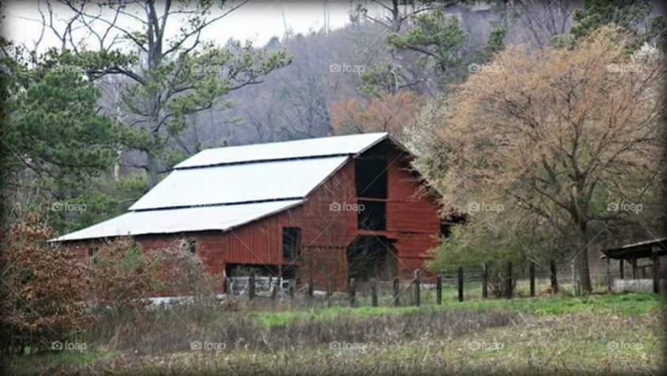 Barn