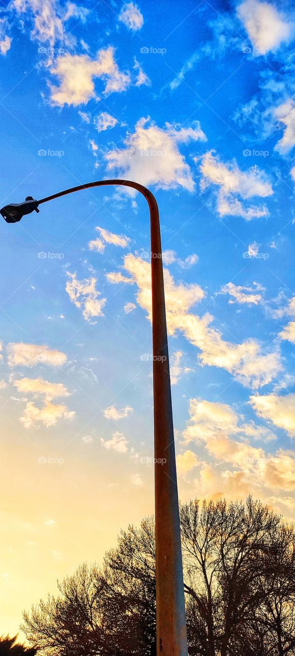 Bird on Light pole, in sunrise setting.