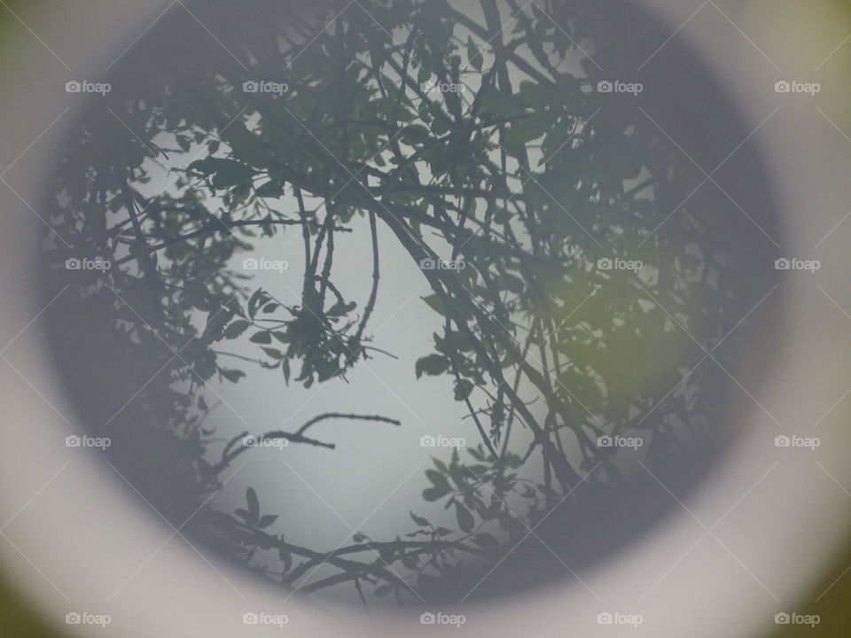 Reflect. reflection from my bird bath in garden