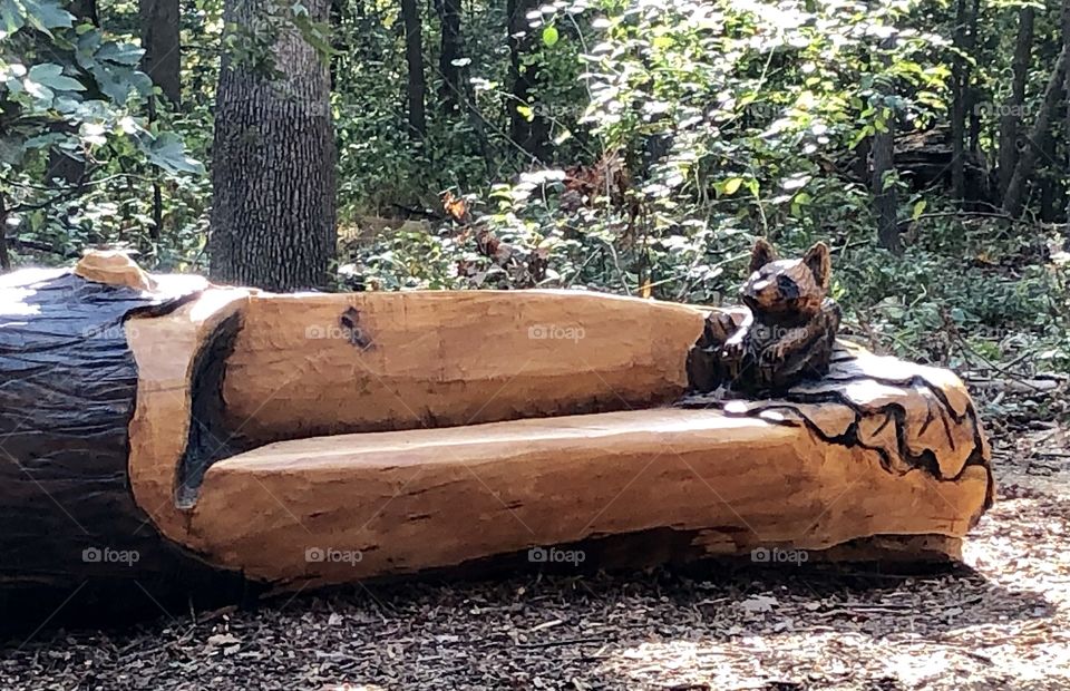 Raccoon Carved on Bench - Annandale Community Park - Virginia