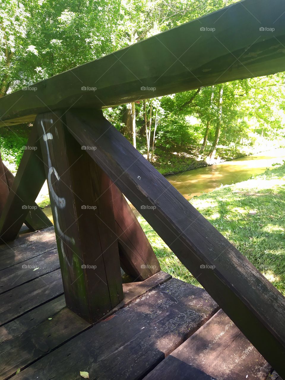Wooden bridge over a river that flows along the forest