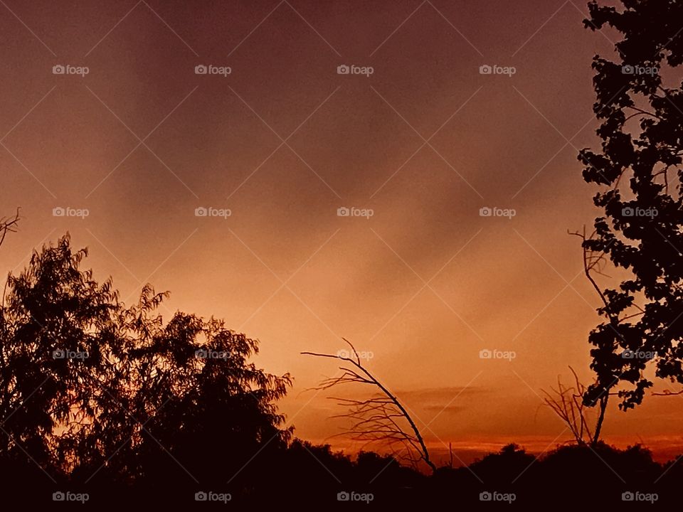 This can be a Cloud Figure of a Sea Shell. The outline of the shell is the picture. 
