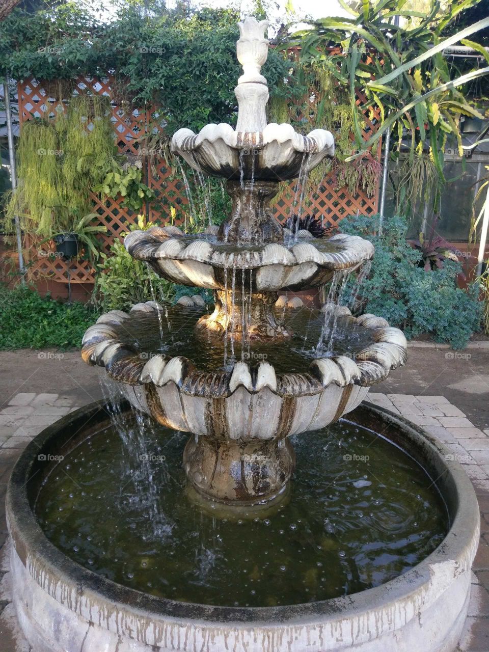 Los Angeles County Arboretum and Botanic Garden fountain with water and plants