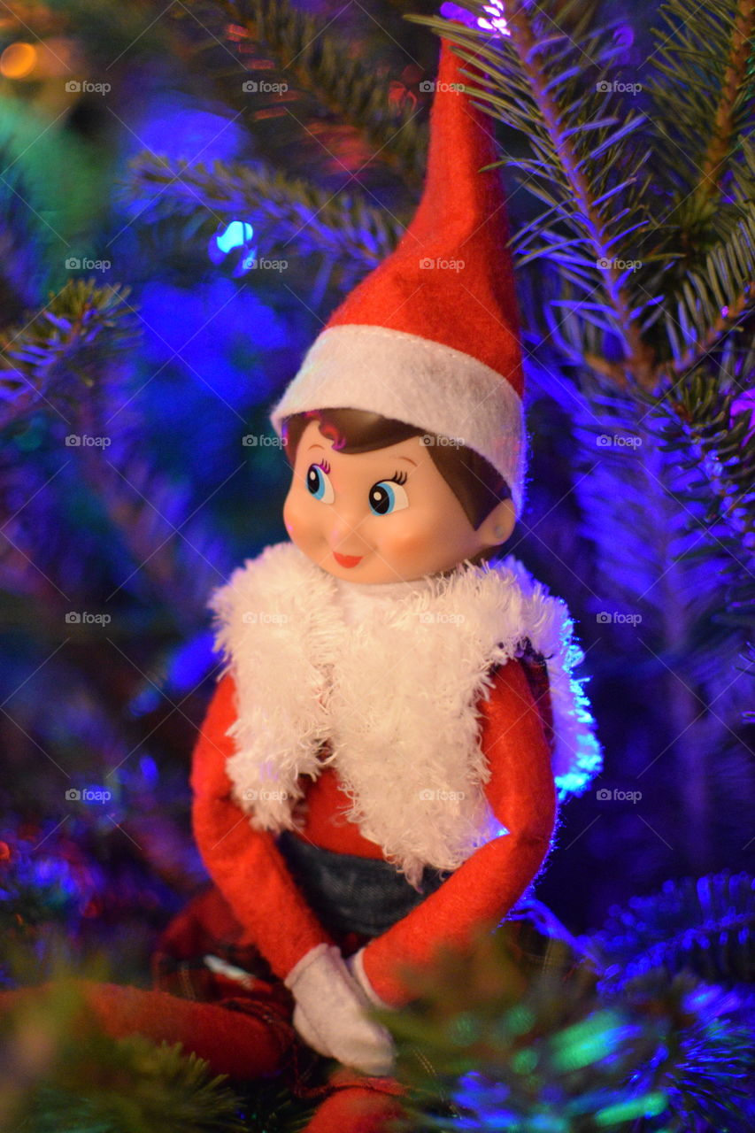 Elf on the shelf 