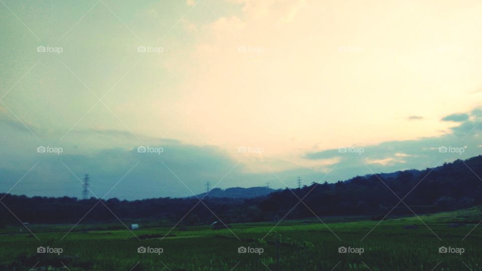 At the end of the rice fields this afternoon