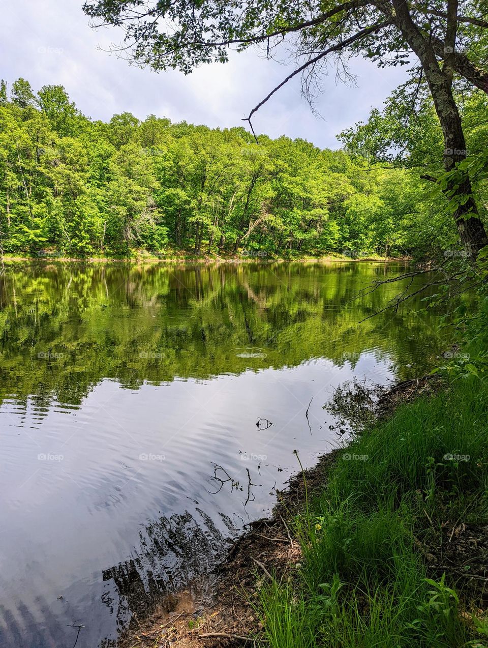 lake shore hike