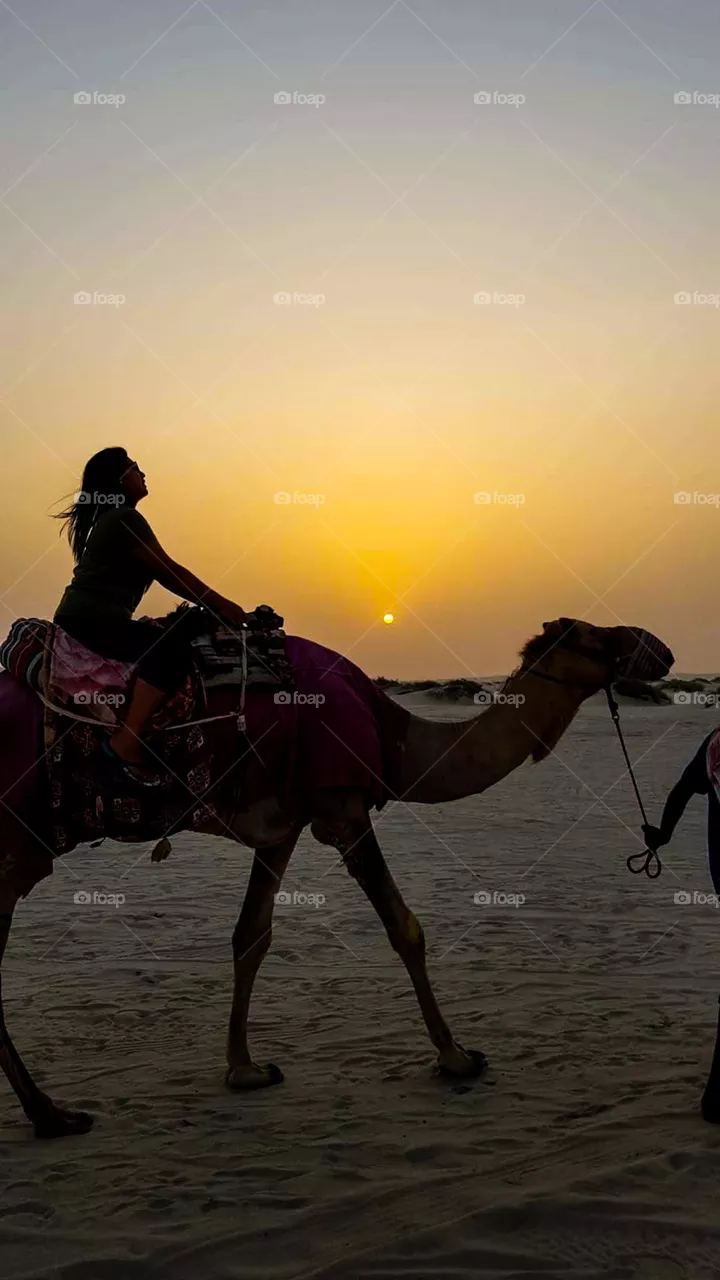 Camel in the dessert🐫🥰
