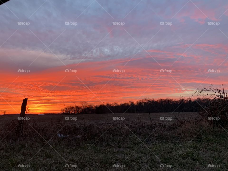 Sunrise on the farm field