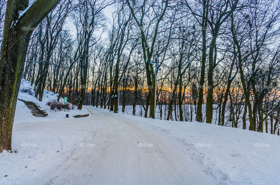 Nature landscape during sunset