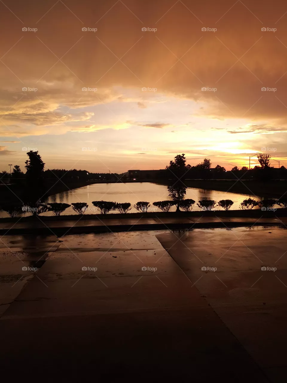 Sunsets at work 