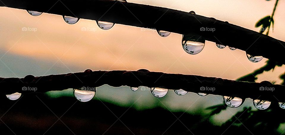 Attractive and clear shot of rain drops.