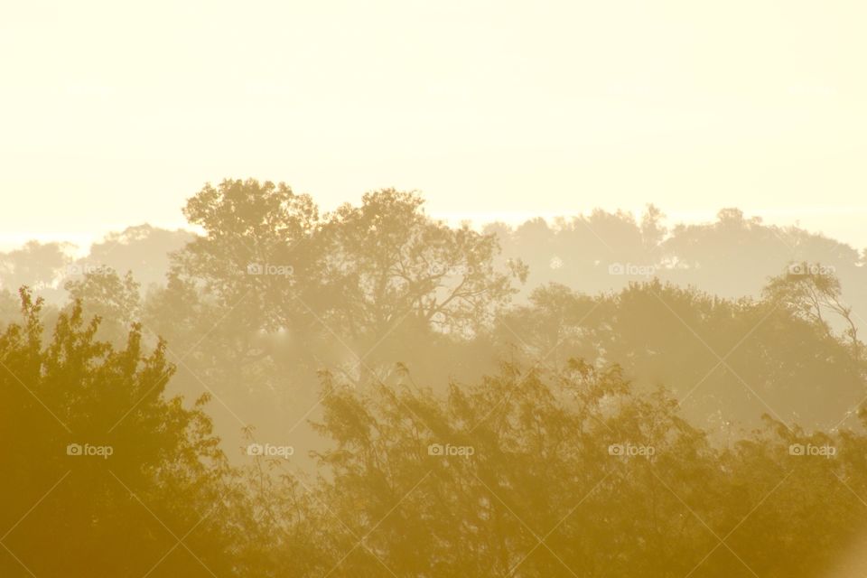 A misty autumn morning in the country 🍂