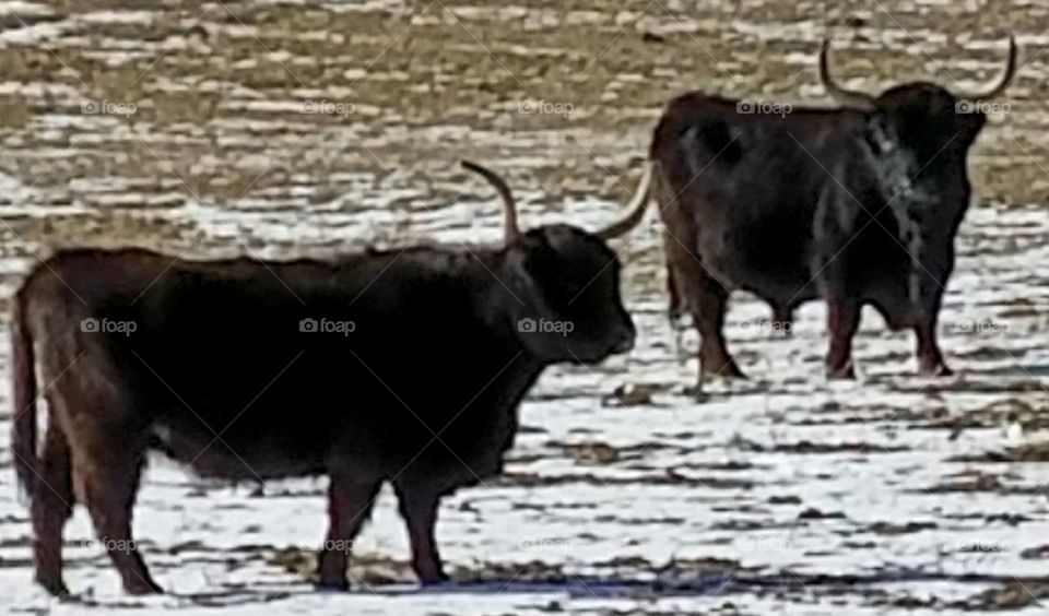 Driving the back Roads