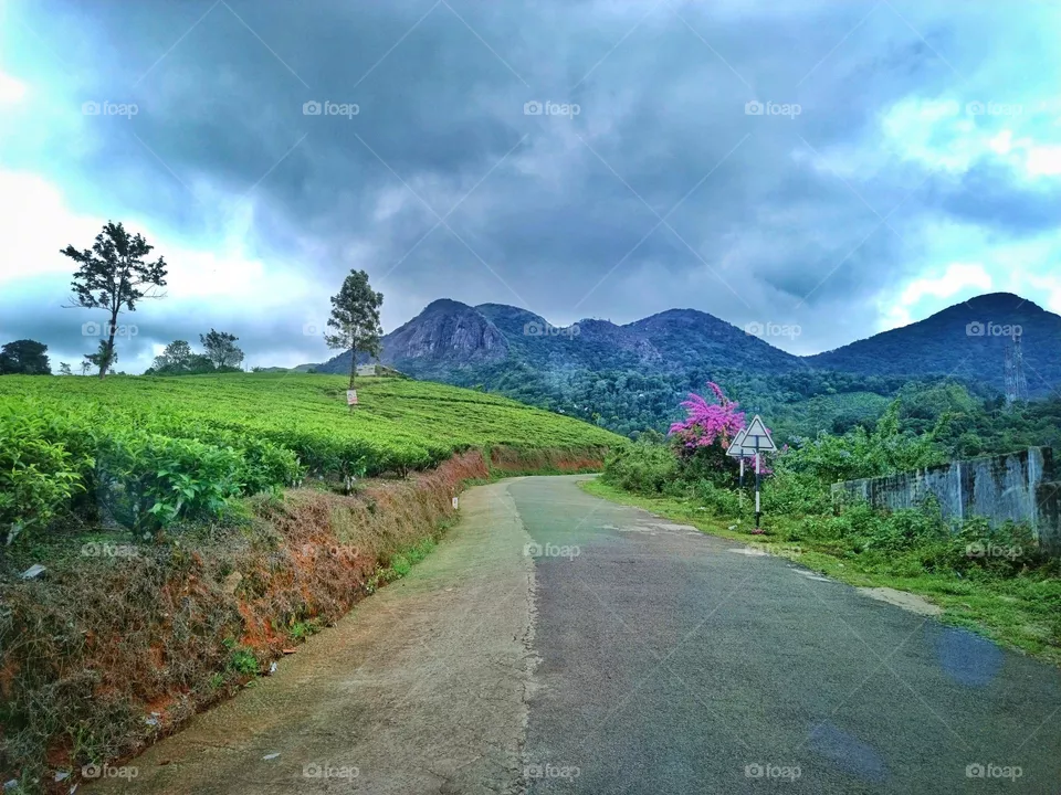 kerala my state