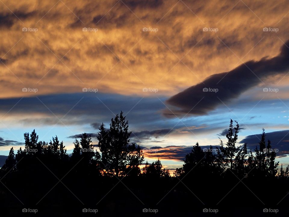 Brilliant red textured clouds against a blue sky over a group of trees below as the sun sets in Central Oregon winter evening. 