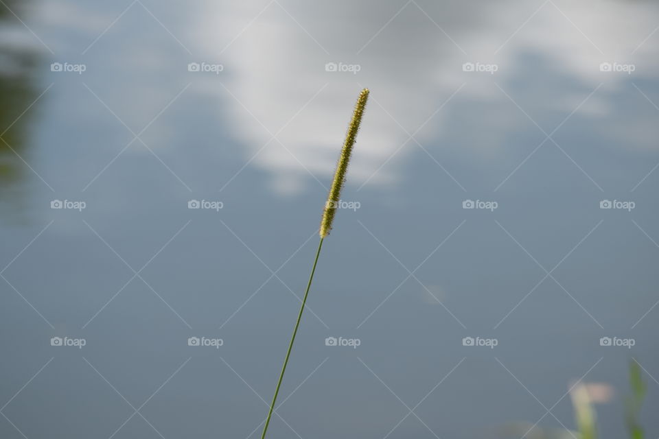 A lonely kind of beauty