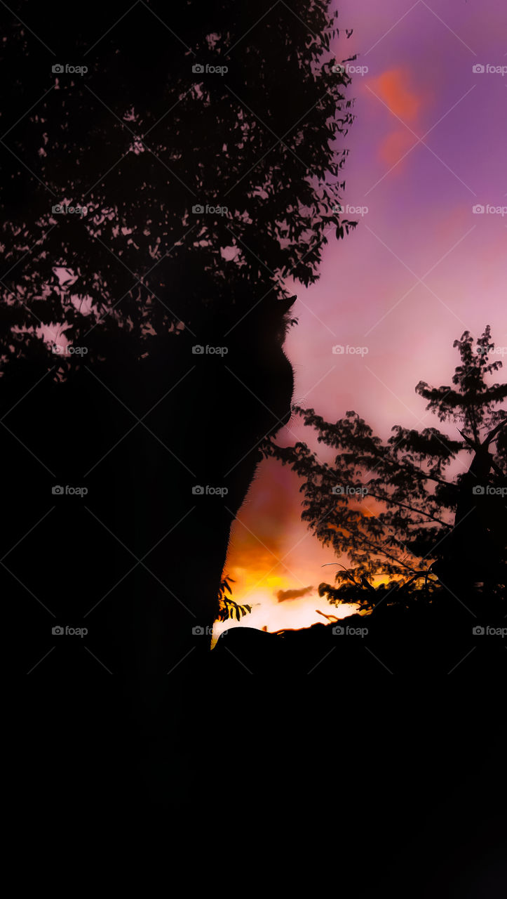 enjoy the twilight atmosphere