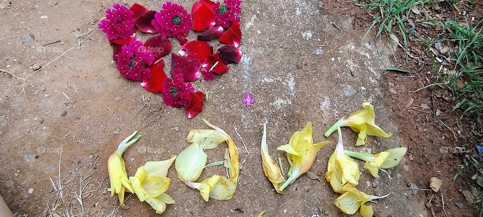 explosion of colors lover