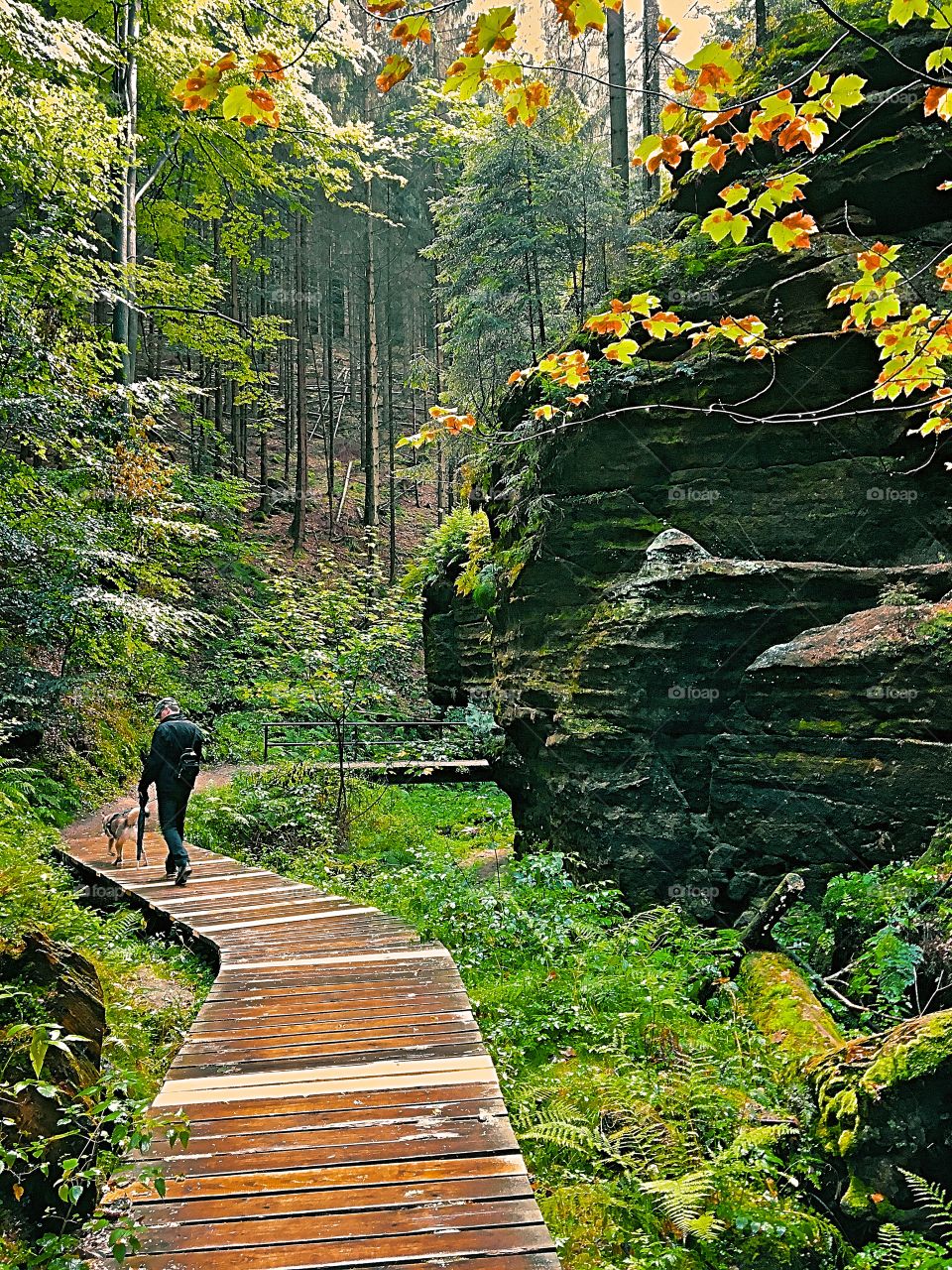Hiking Trail  in Saxon switzerland  Germany 