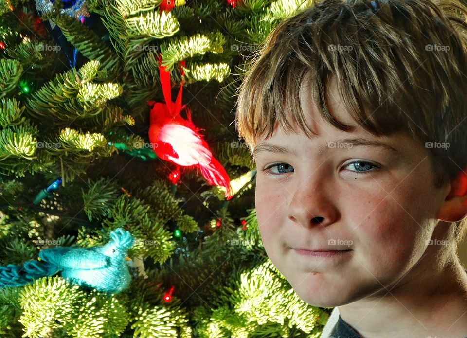 A teenager boy in front of Christmas tree