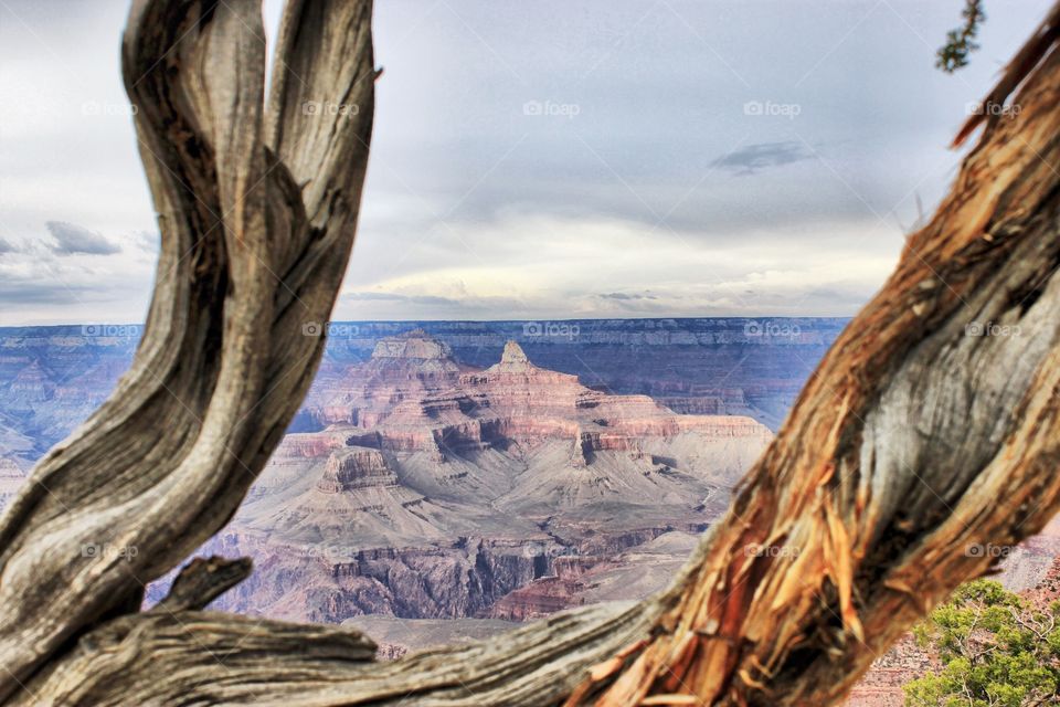 Grand canyon, Arizona