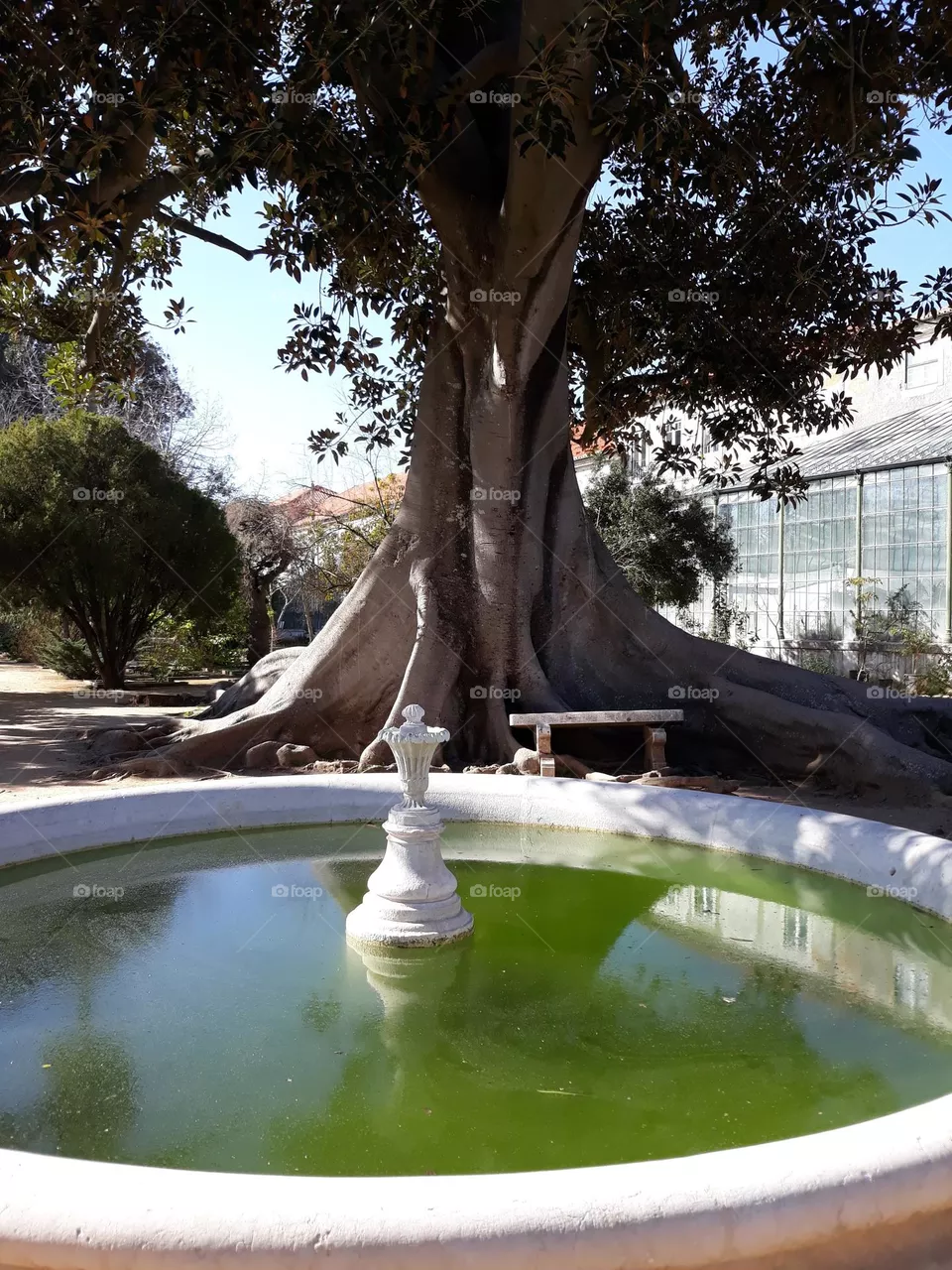Beauty Garden