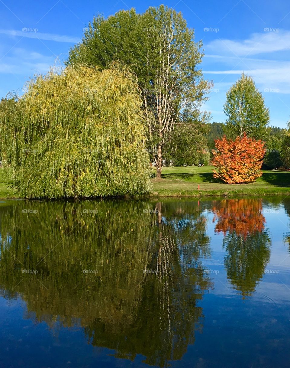 Fall reflections