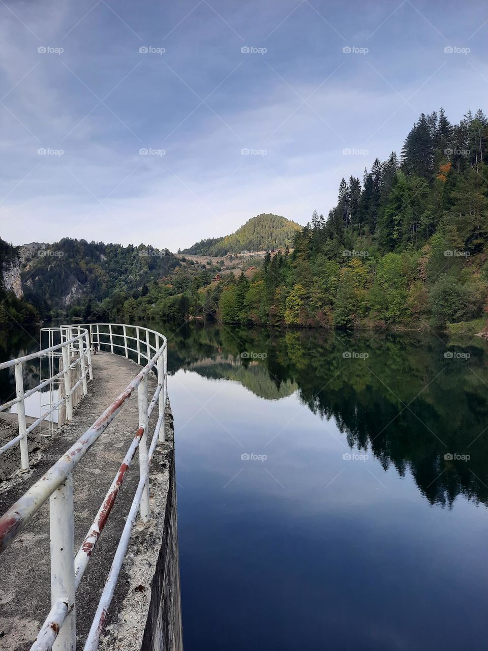 Spajici Lake on the Tara is know for the fact that in that part of Zaovine, the Serbian doctor and botanist Josif Pancic saw Picea omorika (Panciceva omorika) for the first time, which was named after him.