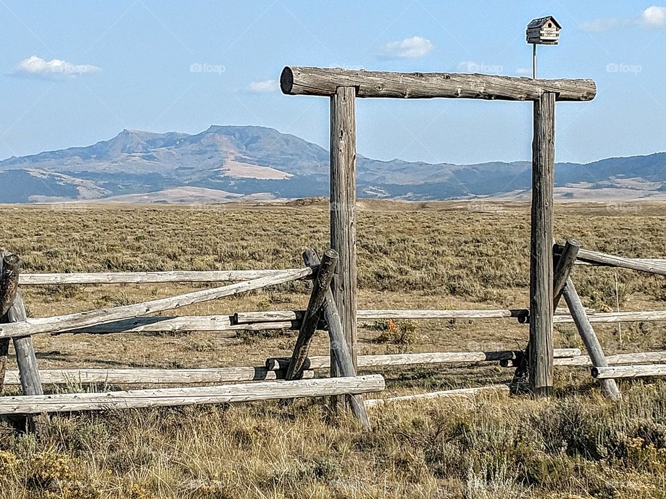 lone ranch