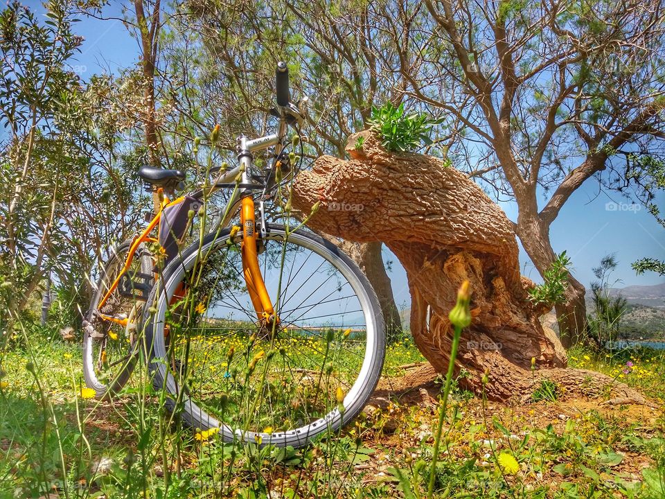 When nature calls...