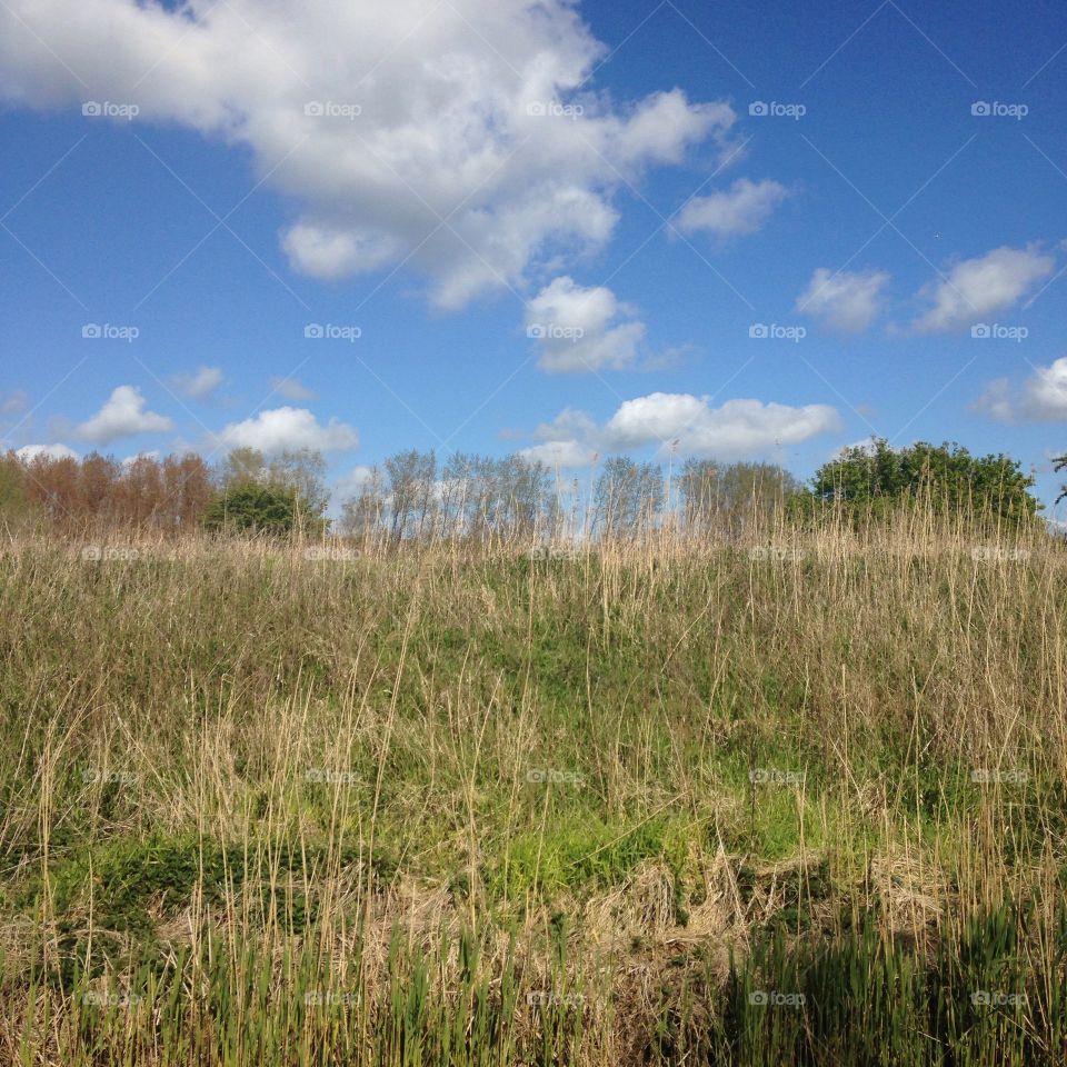 Landscape, No Person, Nature, Sky, Grass