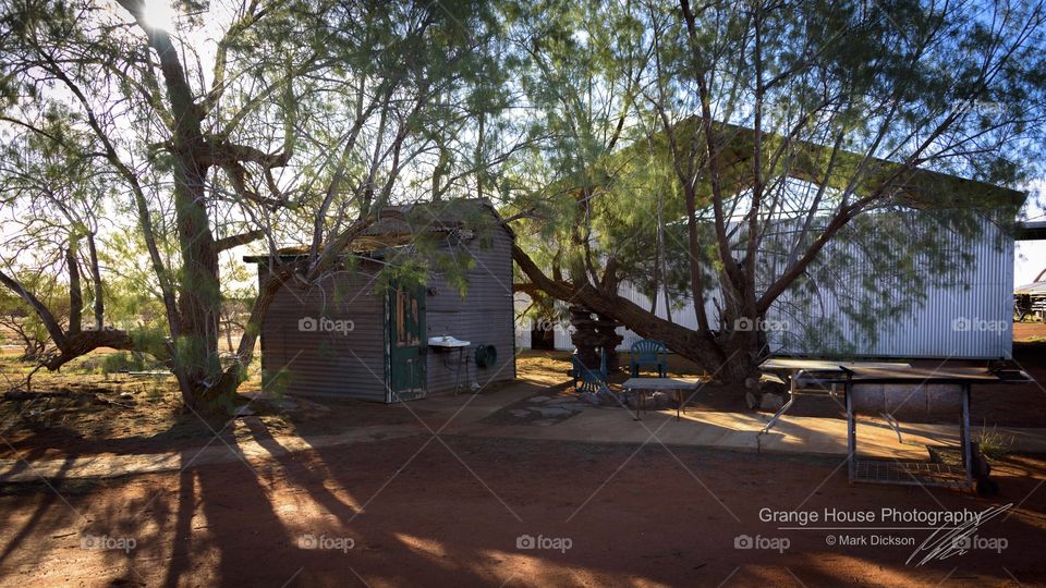 No Person, Tree, Outdoors, Nature, Wood