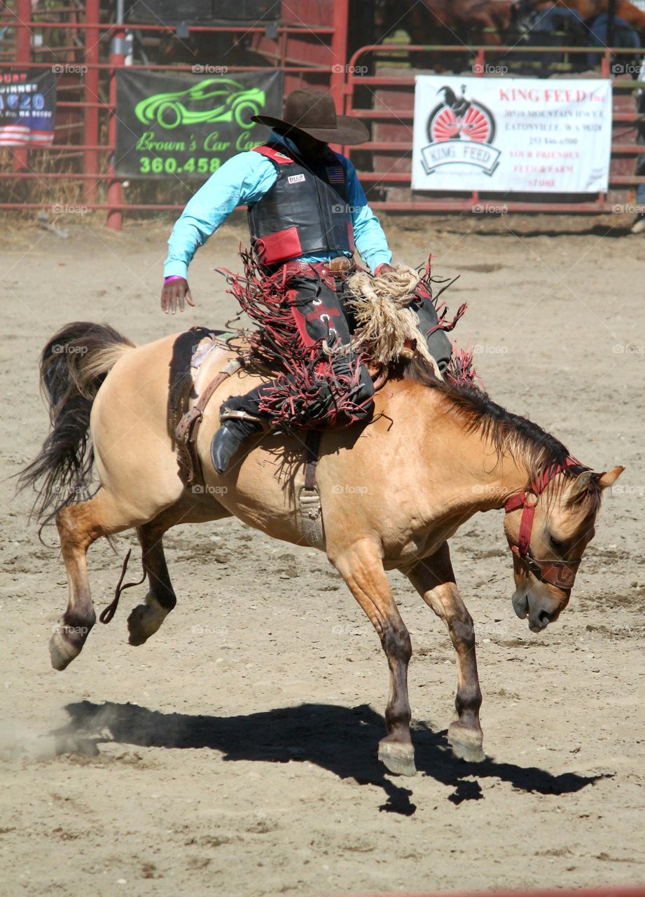 Bare Horseback Riding